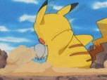 Pokémon Pokémon