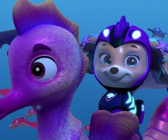 Paw Patrol, la Pat'Patrouille - L'Aqua Patrouille : Le vol de la Baleine Patrouilleuse
