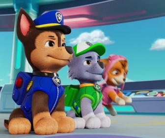 Paw Patrol, la Pat'Patrouille - La pâtisserie géante