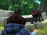 Robin des Bois : Malice à Sherwood