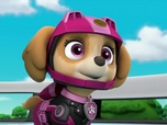 Paw Patrol, la Pat'Patrouille Paw Patrol, la Pat'Patrouille