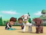 Paw Patrol, la Pat'Patrouille