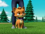 Paw Patrol, la Pat'Patrouille Paw Patrol, la Pat'Patrouille
