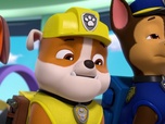 Paw Patrol, la Pat'Patrouille