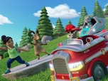 Paw Patrol, la Pat'Patrouille