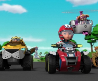 Paw Patrol, la Pat'Patrouille - Super Chats : le coffre-fort de Madame Goodway
