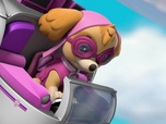 Paw Patrol, la Pat'Patrouille Paw Patrol, la Pat'Patrouille