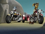 Paw Patrol, la Pat'Patrouille