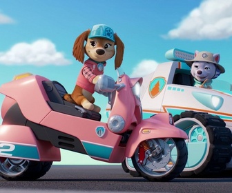 Paw Patrol, la Pat'Patrouille - Sur la route avec Stella : Le Parc de l'Os dOr
