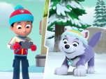 Paw Patrol, la Pat'Patrouille