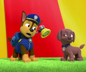 Paw Patrol, la Pat'Patrouille - Le mambo des hippos