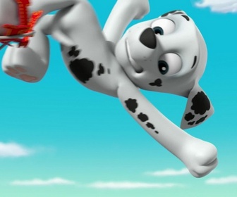 Paw Patrol, la Pat'Patrouille - La Pat'Patrouille sauve les pirates