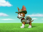 Paw Patrol, la Pat'Patrouille