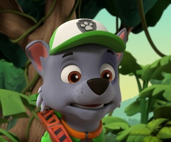 Paw Patrol, la Pat'Patrouille - La plus grosse omelette du monde