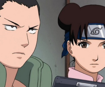 S8 E20 - La mémoire de Naruto