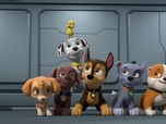 Paw Patrol, la Pat'Patrouille