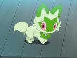 Pokémon Pokémon