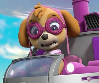 Paw Patrol, la Pat'Patrouille - Les bébés autruches