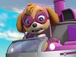 Paw Patrol, la Pat'Patrouille