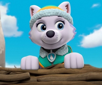 Paw Patrol, la Pat'Patrouille - S03 E30 - Que les jeux commencent !