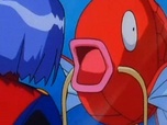 Pokémon Pokémon