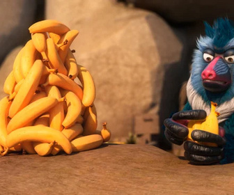 Les as de la jungle à la rescousse - 08/01/2026