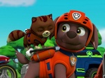 Paw Patrol, la Pat'Patrouille