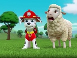 Paw Patrol, la Pat'Patrouille