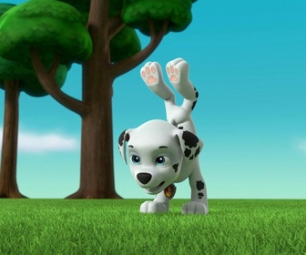 Paw Patrol, la Pat'Patrouille - La Super Patrouille, Puissance Maximale : L'attaque des trois super méchants