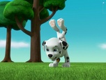 Paw Patrol, la Pat'Patrouille