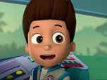 Paw Patrol, la Pat'Patrouille