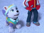 Paw Patrol, la Pat'Patrouille