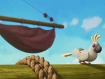Pirate academy
