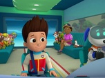 Paw Patrol, la Pat'Patrouille