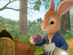 Pierre Lapin
