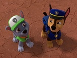 Paw Patrol, la Pat'Patrouille