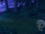 Pokémon Pokémon