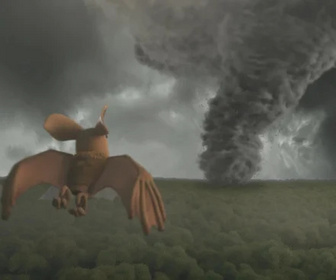 Les as de la jungle à la rescousse - 17/02/2026