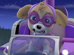 Paw Patrol, la Pat'Patrouille