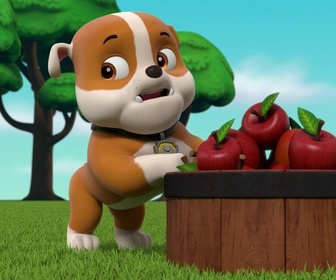 Paw Patrol, la Pat'Patrouille - Le Super-Secoueur