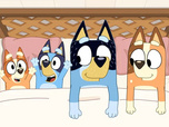 Bluey