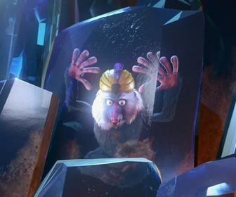 Les as de la jungle à la rescousse - 12/11/2025