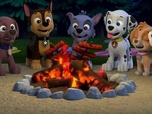Paw Patrol, la Pat'Patrouille