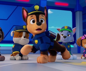 Paw Patrol, la Pat'Patrouille - Mission Détectives : La grande course à vélo