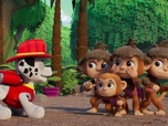 Paw Patrol, la Pat'Patrouille