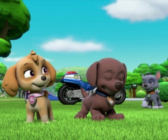 Paw Patrol, la Pat'Patrouille - La Moto Patrouille : La spirale rocheuse