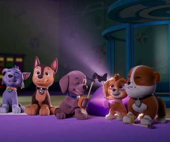 Paw Patrol, la Pat'Patrouille - Le phare de l'île des Phoques