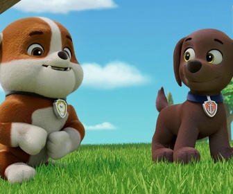 Paw Patrol, la Pat'Patrouille - Le concert de M. Hellinger