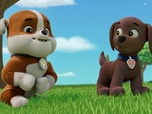 Paw Patrol, la Pat'Patrouille