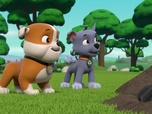 Paw Patrol, la Pat'Patrouille